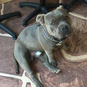 Meet your Posher, Steven